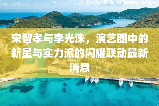 宋智孝与李光洙，演艺圈中的新星与实力派的闪耀联动最新消息