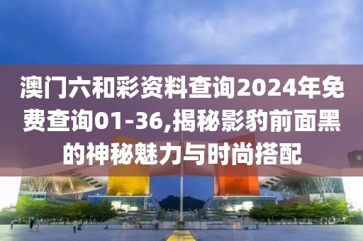 澳门六和彩资料查询2024年免费查询01-36,揭秘影豹前面黑的神秘魅力与时尚搭配