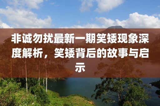 非诚勿扰最新一期笑矮现象深度解析，笑矮背后的故事与启示