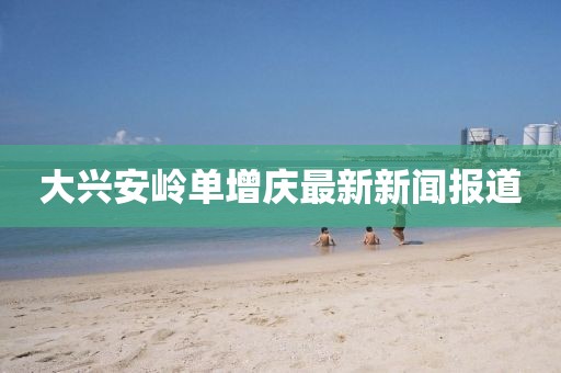 飞雪 第12页