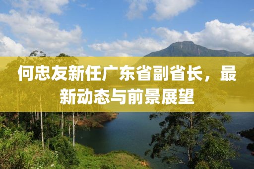 何忠友新任广东省副省长，最新动态与前景展望