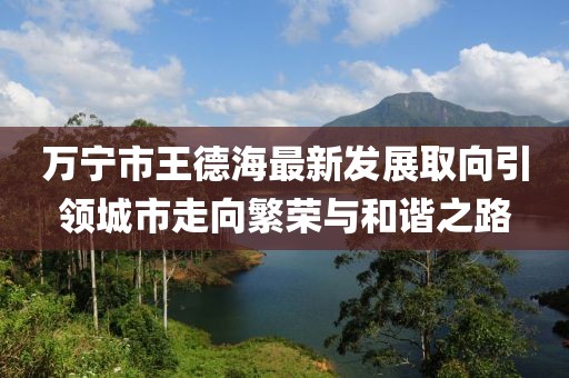 万宁市王德海最新发展取向引领城市走向繁荣与和谐之路