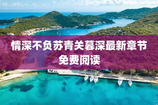 情深不负苏青关暮深最新章节免费阅读