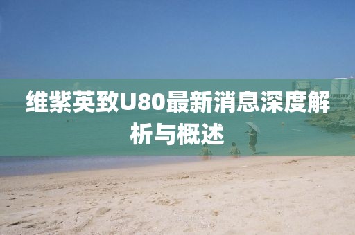 维紫英致U80最新消息深度解析与概述