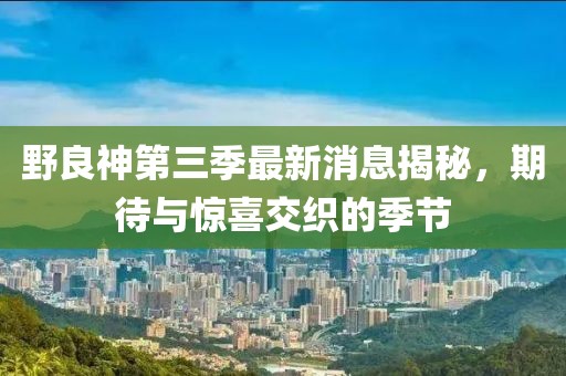 野良神第三季最新消息揭秘，期待与惊喜交织的季节
