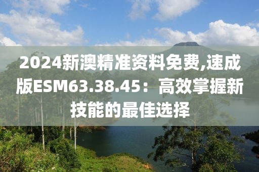 2024新澳精准资料免费,速成版ESM63.38.45：高效掌握新技能的最佳选择