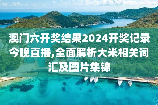 澳门六开奖结果2024开奖记录今晚直播,全面解析大米相关词汇及图片集锦