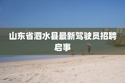山东省泗水县最新驾驶员招聘启事
