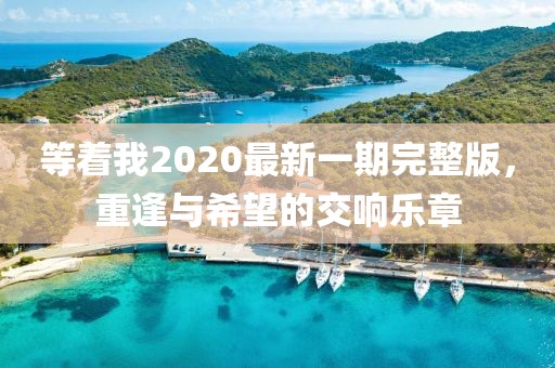 等着我2020最新一期完整版，重逢与希望的交响乐章