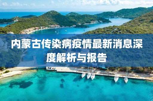 内蒙古传染病疫情最新消息深度解析与报告