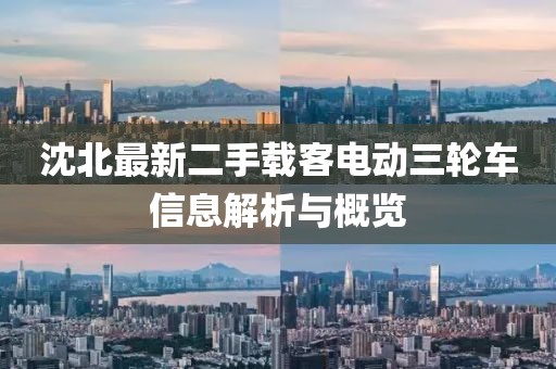 沈北最新二手载客电动三轮车信息解析与概览