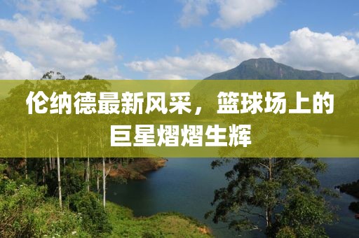 伦纳德最新风采，篮球场上的巨星熠熠生辉