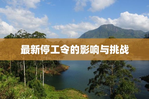 最新停工令的影响与挑战