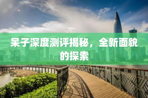 呆子深度测评揭秘，全新面貌的探索