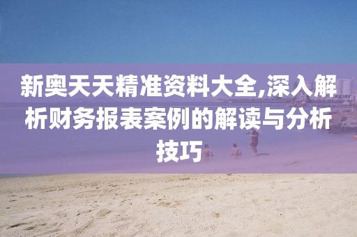 新奥天天精准资料大全,深入解析财务报表案例的解读与分析技巧