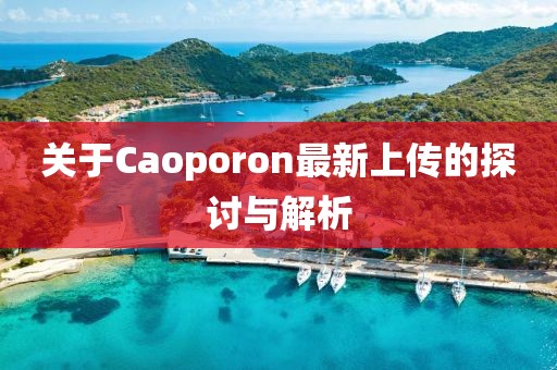 关于Caoporon最新上传的探讨与解析
