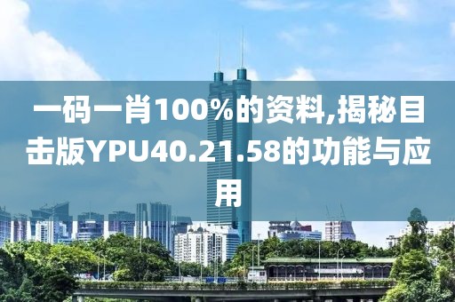 一码一肖100%的资料,揭秘目击版YPU40.21.58的功能与应用
