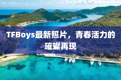 游子 第13页