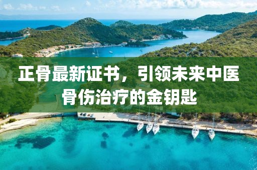 正骨最新证书，引领未来中医骨伤治疗的金钥匙