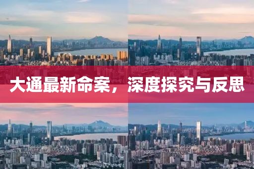 大通最新命案，深度探究与反思