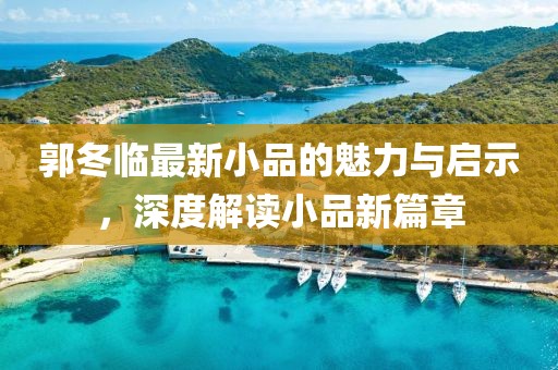 郭冬临最新小品的魅力与启示，深度解读小品新篇章
