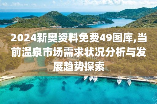 2024新奥资料免费49图库,当前温泉市场需求状况分析与发展趋势探索