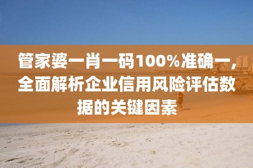 管家婆一肖一码100%准确一,全面解析企业信用风险评估数据的关键因素