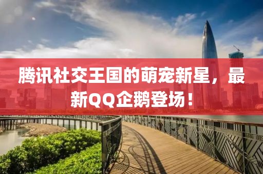 腾讯社交王国的萌宠新星，最新QQ企鹅登场！