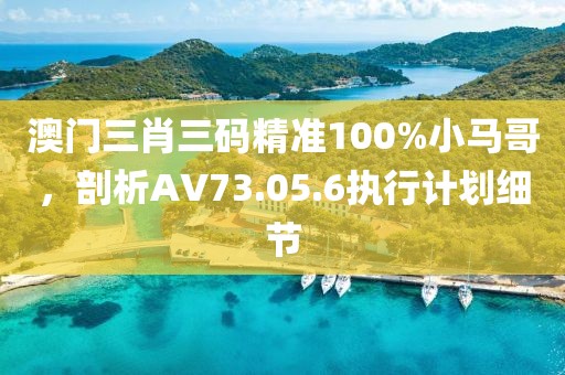 澳门三肖三码精准100%小马哥，剖析AV73.05.6执行计划细节