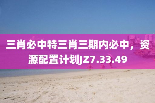 三肖必中特三肖三期内必中，资源配置计划JZ7.33.49