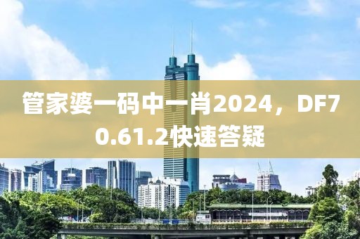 管家婆一码中一肖2024，DF70.61.2快速答疑
