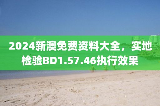 2024新澳免费资料大全，实地检验BD1.57.46执行效果