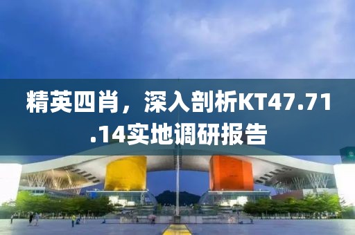 精英四肖，深入剖析KT47.71.14实地调研报告
