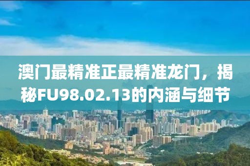 澳门最精准正最精准龙门，揭秘FU98.02.13的内涵与细节
