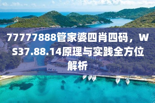 77777888管家婆四肖四码，WS37.88.14原理与实践全方位解析