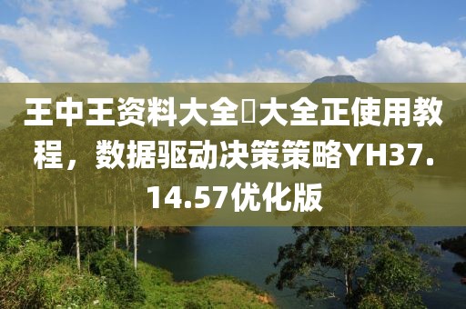 王中王资料大全枓大全正使用教程，数据驱动决策策略YH37.14.57优化版