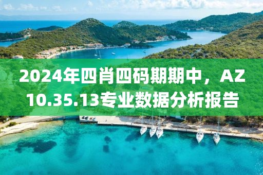 2024年四肖四码期期中，AZ10.35.13专业数据分析报告