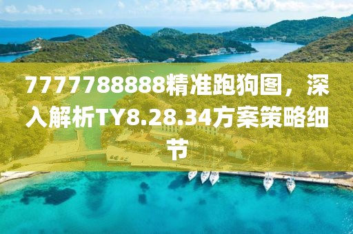 7777788888精准跑狗图，深入解析TY8.28.34方案策略细节