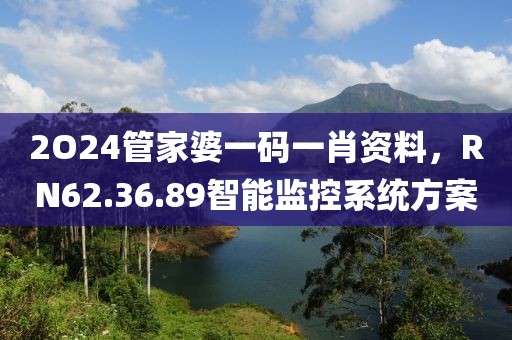 2O24管家婆一码一肖资料，RN62.36.89智能监控系统方案