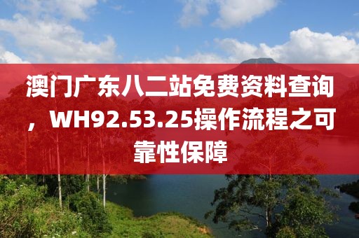 澳门广东八二站免费资料查询，WH92.53.25操作流程之可靠性保障