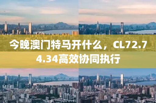 今晚澳门特马开什么，CL72.74.34高效协同执行