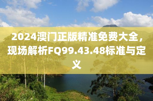 2024澳门正版精准免费大全，现场解析FQ99.43.48标准与定义