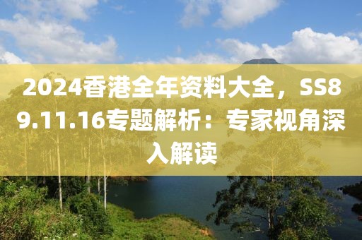 2024香港全年资料大全，SS89.11.16专题解析：专家视角深入解读