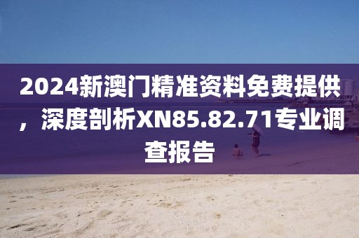 2024新澳门精准资料免费提供，深度剖析XN85.82.71专业调查报告
