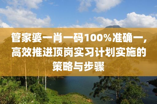管家婆一肖一码100%准确一,高效推进顶岗实习计划实施的策略与步骤