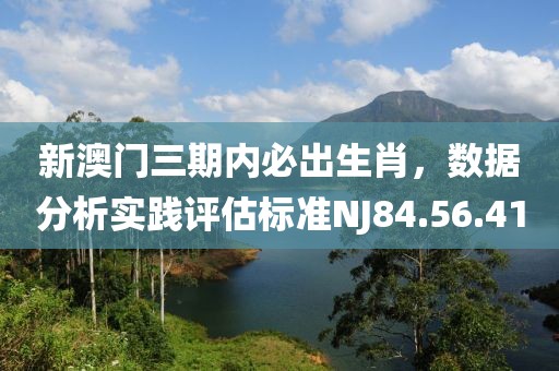 新澳门三期内必出生肖，数据分析实践评估标准NJ84.56.41