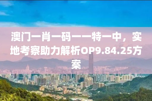 澳门一肖一码一一特一中，实地考察助力解析OP9.84.25方案