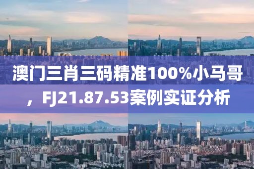 澳门三肖三码精准100%小马哥，FJ21.87.53案例实证分析