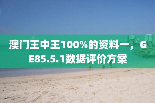 澳门王中王100%的资料一，GE85.5.1数据评价方案