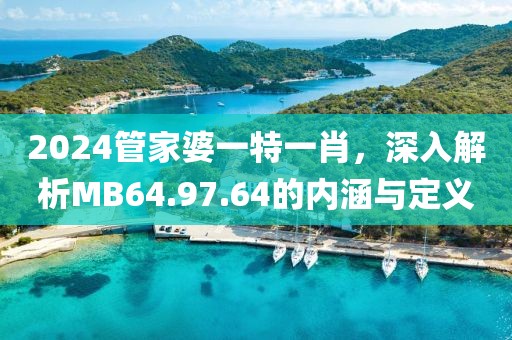 2024管家婆一特一肖，深入解析MB64.97.64的内涵与定义